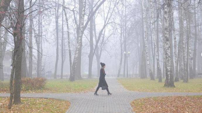 Московские парки поделились в соцсетях туманными пейзажами