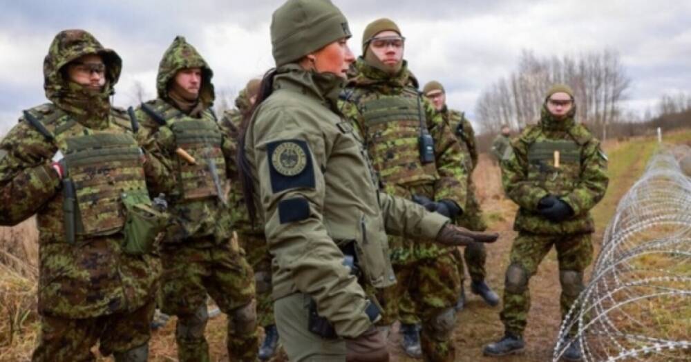 Эстония начала строительство ограждения на границе с Россией (ФОТО)