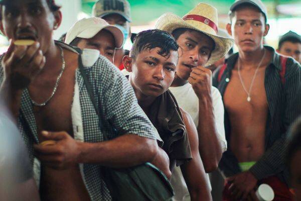 В Мексике в двух грузовиках задержаны 600 нелегальных мигрантов из 12 стран