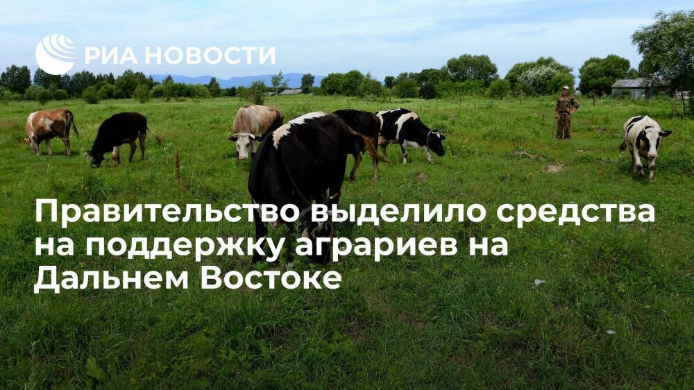 Правительство выделило почти 1,4 миллиарда рублей на поддержку аграриев на Дальнем Востоке