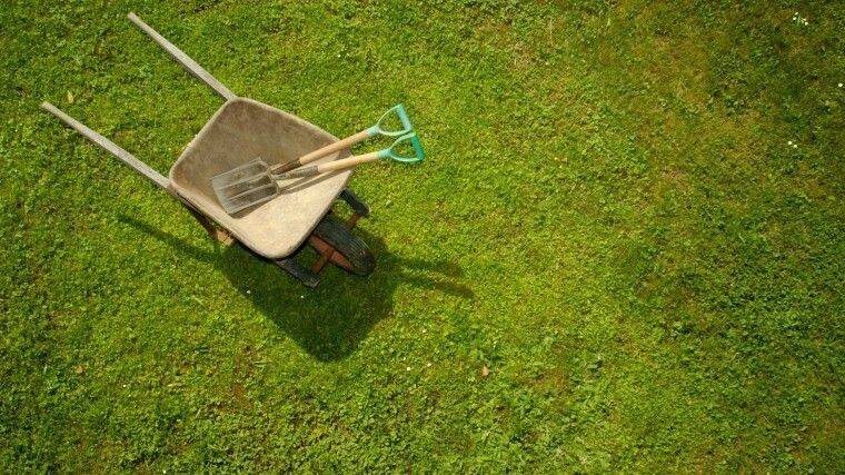 Как выращивают рулонный газон для футбольных полей