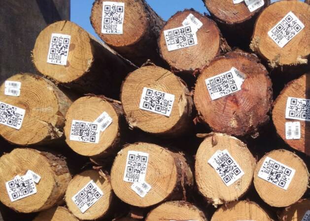 Поставки украинской древесины будут отслеживать через блокчейн