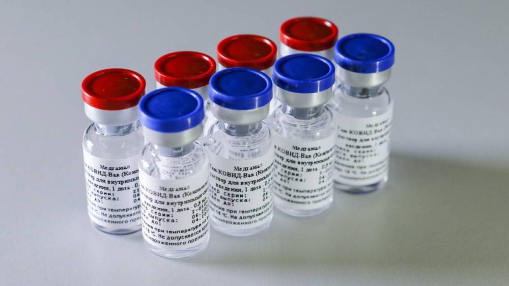 Более 50 миллионов россиян привились вакциной от коронавируса «Спутник V»