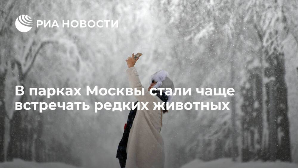 В парках Москвы стали чаще встречать животных, занесенных в Красную книгу