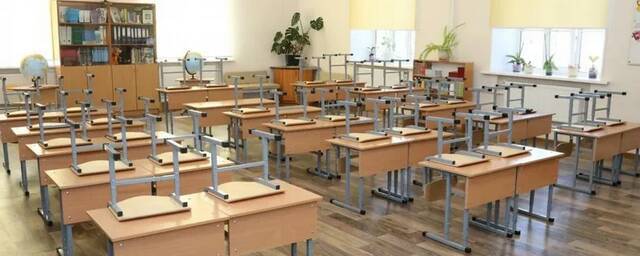 В Петербурге 71 класс 37 школ перешел на дистанционный формат обучения