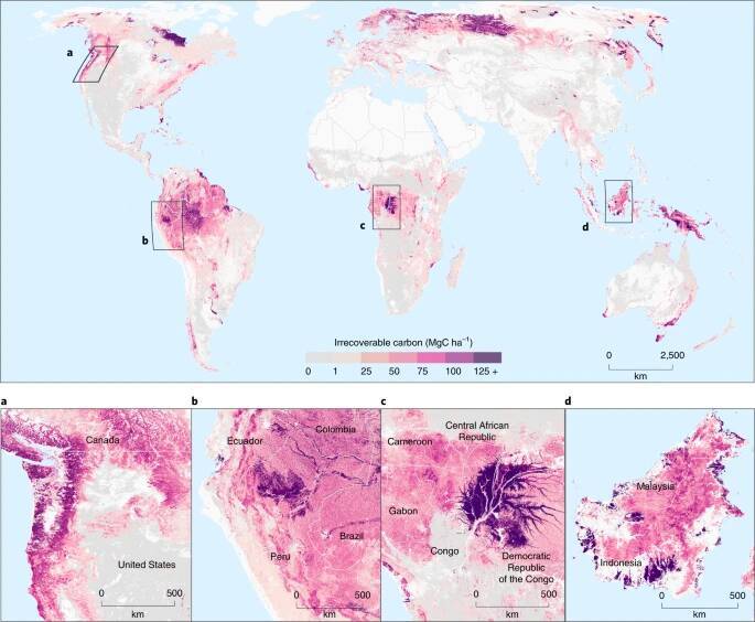 Новая интерактивная карта показывает концентрацию углекислого газа на Земле