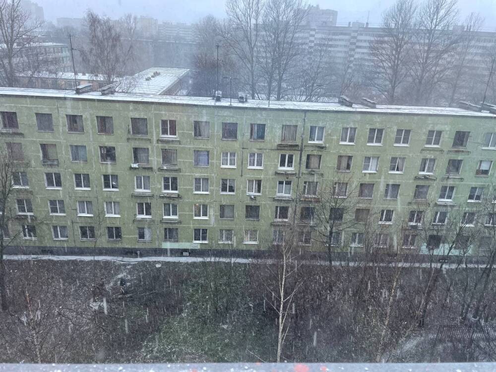 На юг Петербурга обрушилась снежная метель, на севере светит солнце