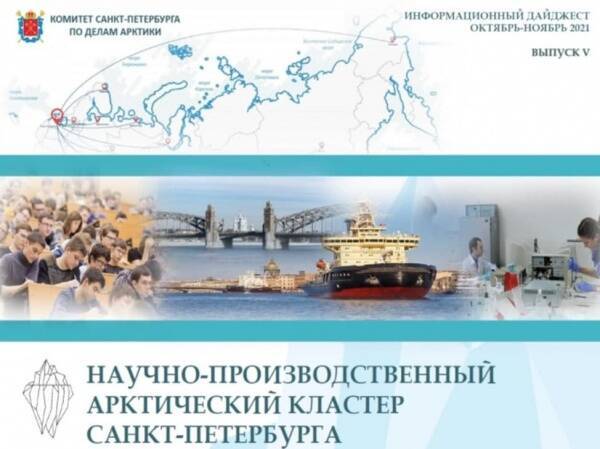 Комитет Петербурга по делам Арктики стал новым рудиментом Смольного
