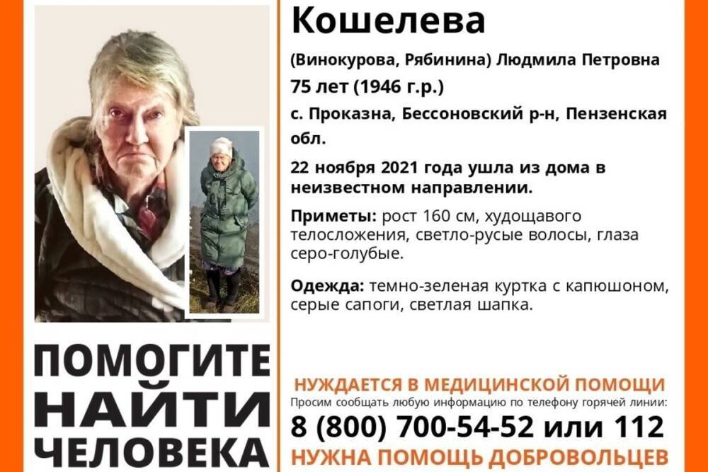 В Пензенской области ведутся поиски без вести пропавшей 75-летней женщины