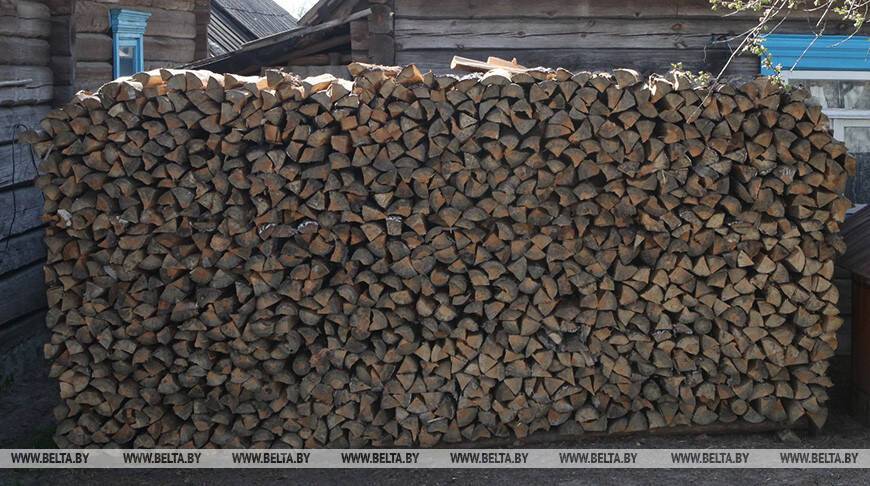 Лесхозы Беларуси с начала года отгрузили населению более 1 млн куб.м дров
