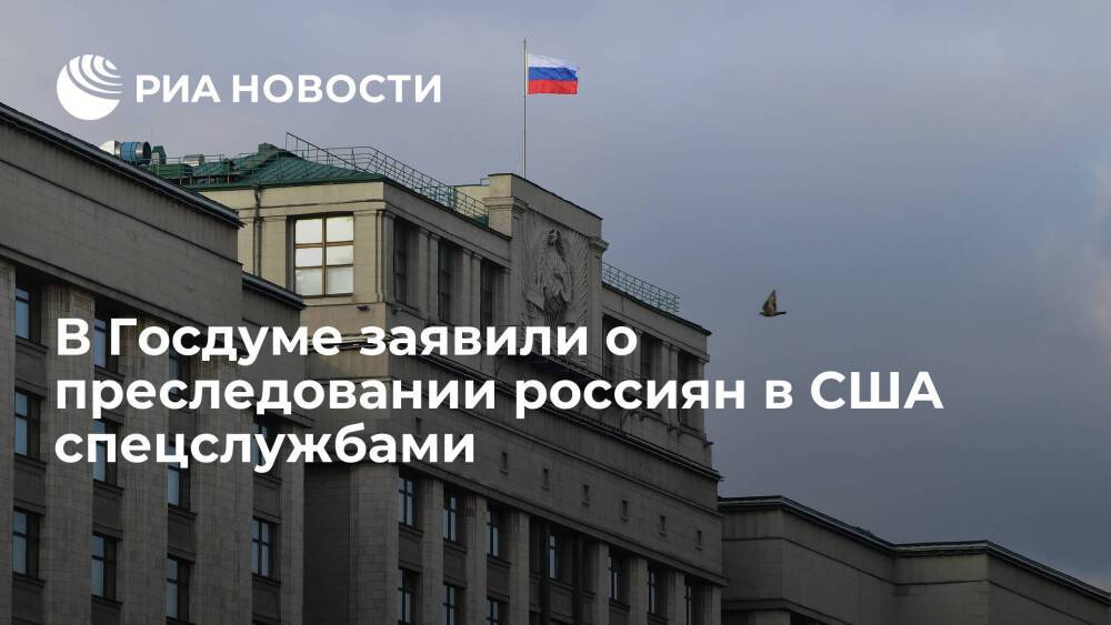 Госдума: около 300 россиян в США подверглись преследованию со стороны спецслужб
