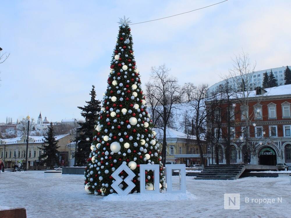 Более 155 елок украсят в Нижнем Новгороде к Новому году