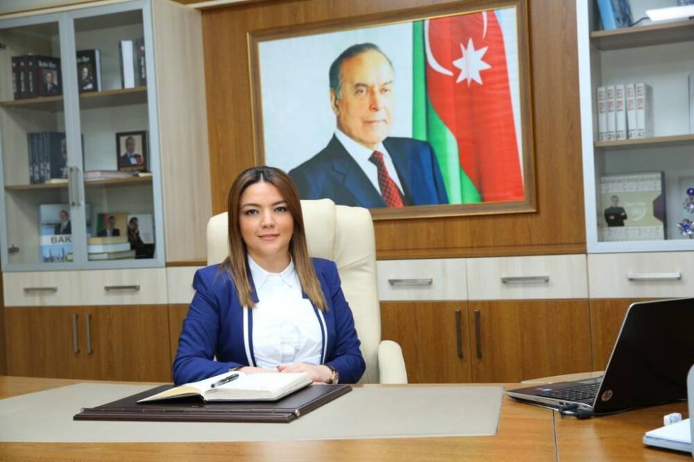 Назначен исполнительный директор Агентства господдержки НПО Азербайджана