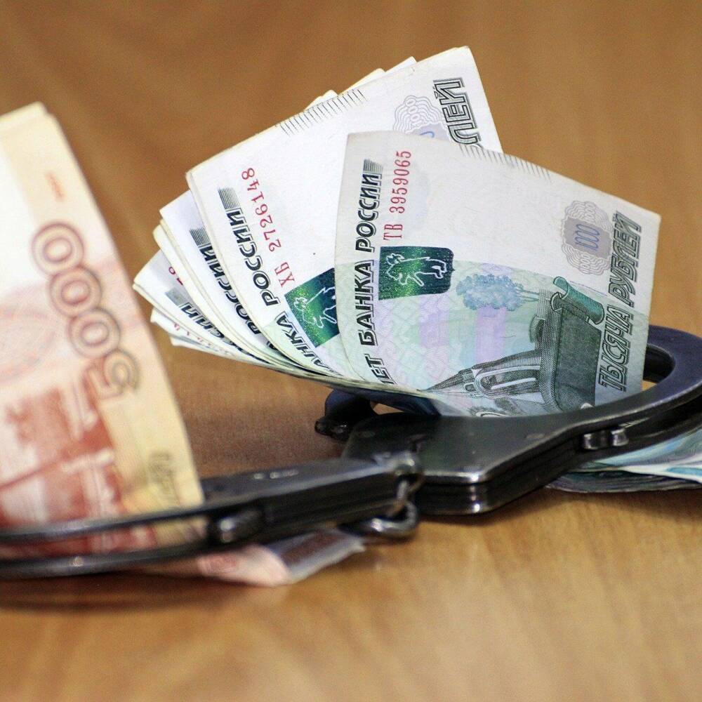 В Новосибирске вынесли приговор бывшему директору колледжа за взятку в 241 тысячу рублей