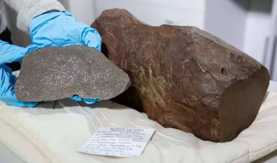 Мужчина случайно нашел редкий метеорит, которому 4,6 миллиарда лет (Фото)