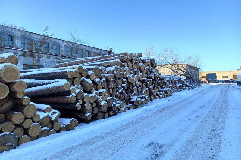 В Курганской области выявили контрабанду леса на 4 млн рублей