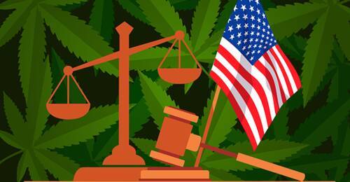 Как работают юристы по «марихуановому праву» в Америке