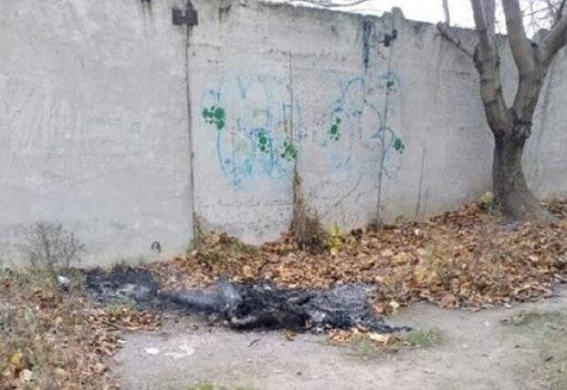 Житель Черноморска жил с трупом две недели, а потом сжег его (фото)