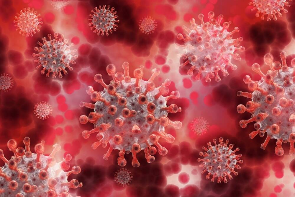 Заболеваемость коронавирусом среди детей выросла к концу ноября в Нижегородской области