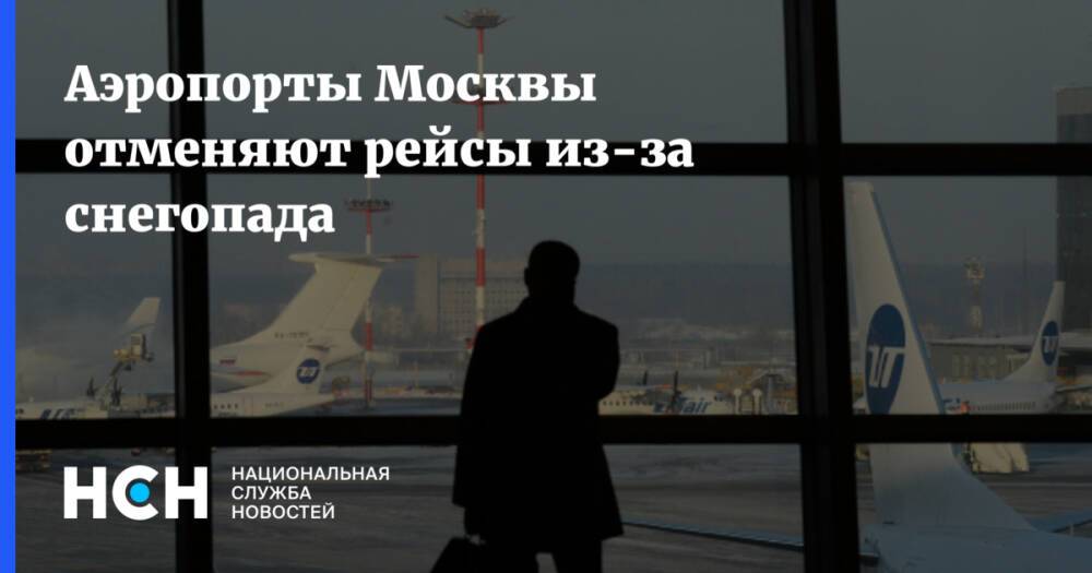 Аэропорты Москвы отменяют рейсы из-за снегопада