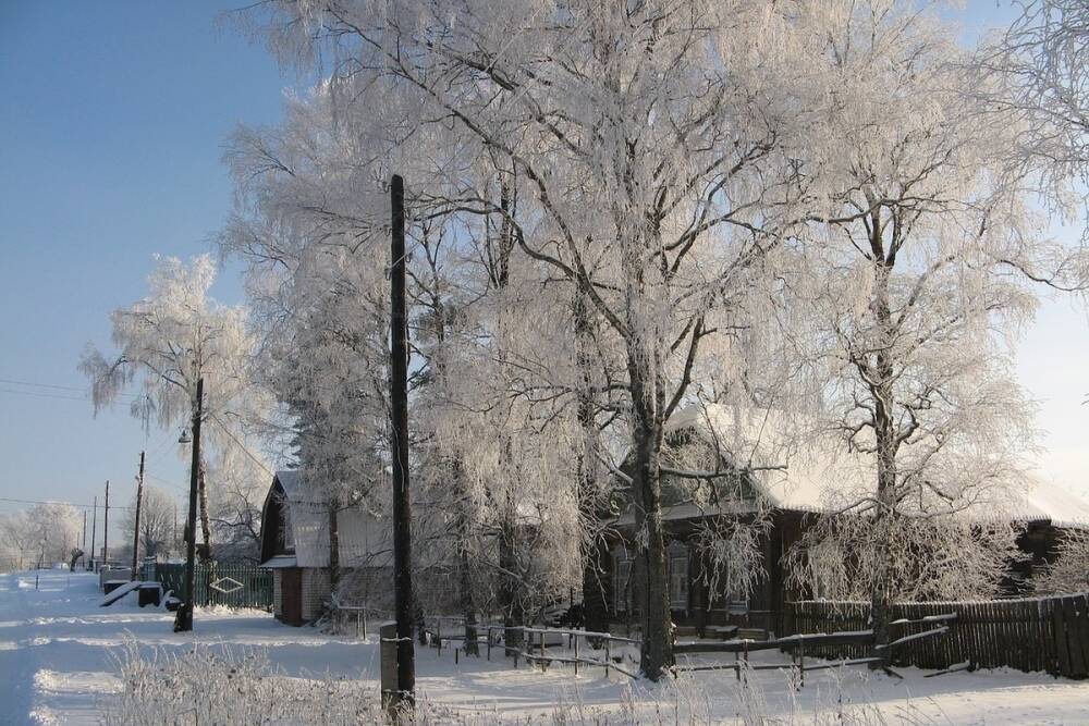 Метеоролог сообщил о похолодании до -30 градусов в ряде регионов РФ