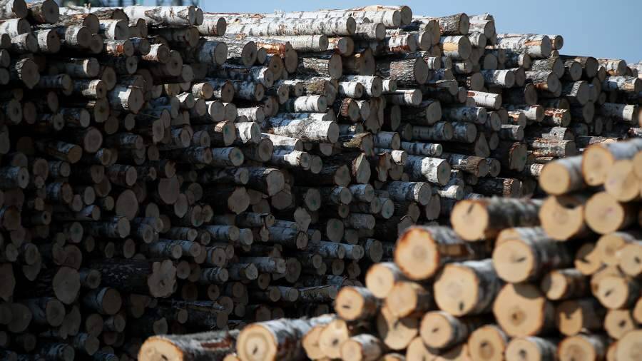 Наводит доску: бизнес просит ограничить вывоз деревянного сырья