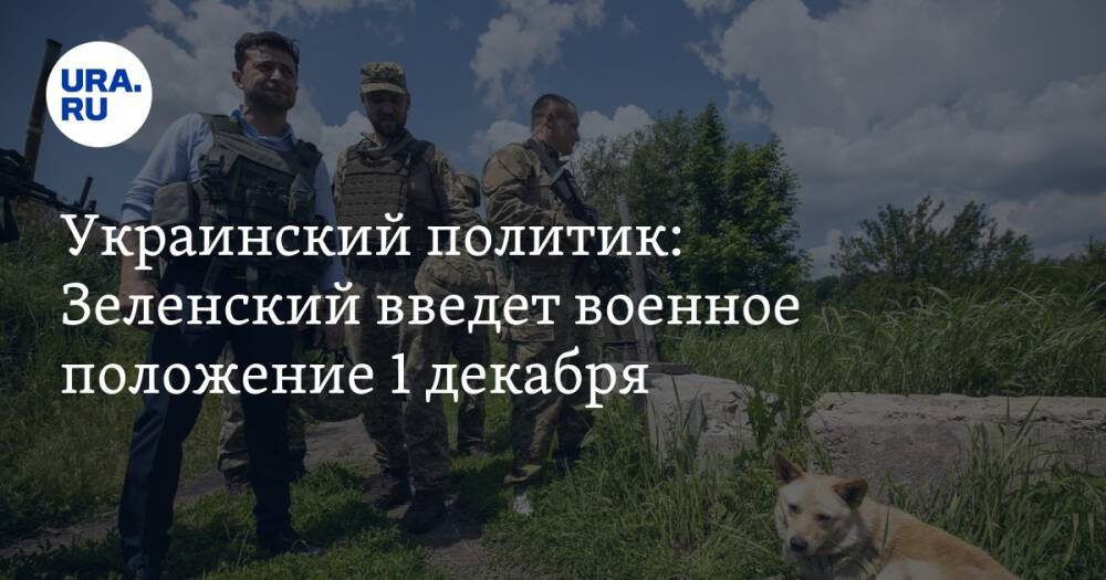 Украинский политик: Зеленский введет военное положение 1 декабря