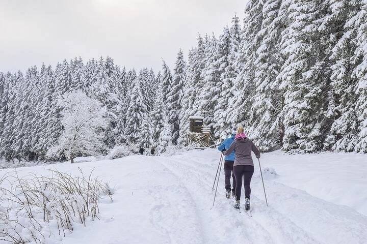 Казанцев пригласили покататься на лыжах в Горкинско-Ометьевском лесу