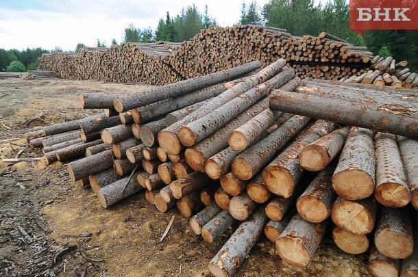 В конкурсе на аренду огромных лесных участков в Коми промышленных гигантов обошла компания из Нижнего Одеса