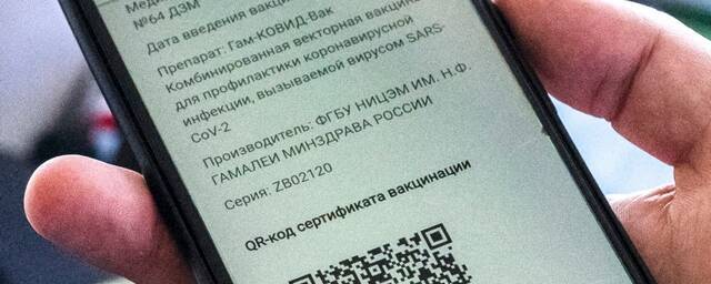 В ЗакС Петербурга рекомендовали к рассмотрению парламента федеральный законопроект о QR-кодах
