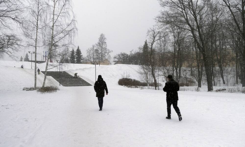 МЧС Карелии: снегопад продолжится и завтра