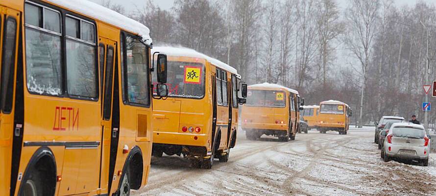 Около 30 новых школьных автобусов отправились в районы Карелии