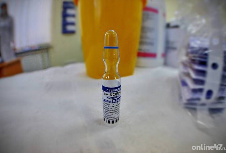 Гинцбург: жалоб на подделку вакцин "Спутник V" и "Спутник Лайт" в России не было