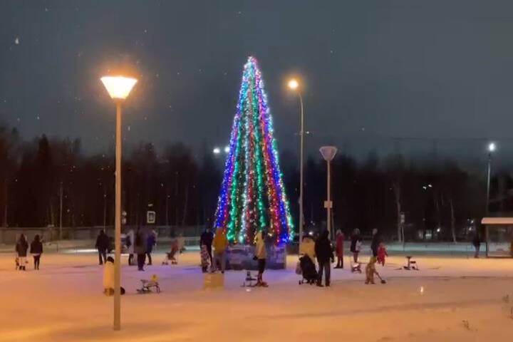 Первую новогоднюю ёлку установили в Петрозаводске