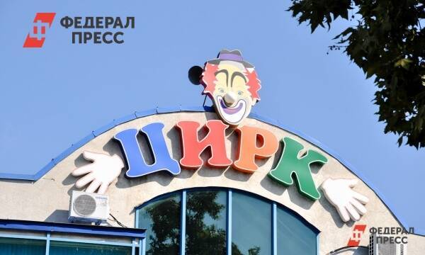 В Казани уволили директора цирка после публикации видео с ножом