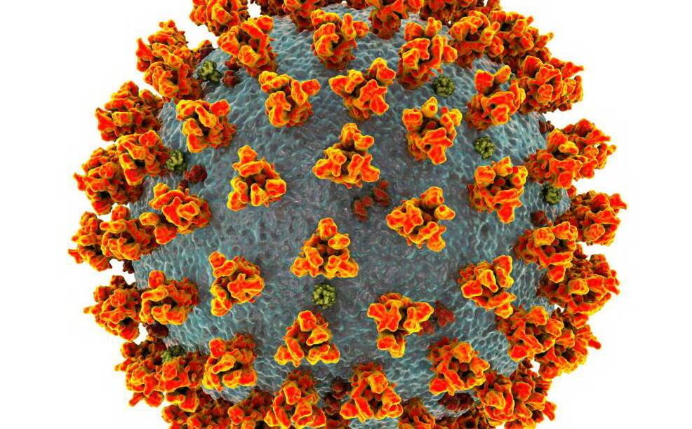 Обнаружен новый штамм коронавируса: министр здравоохранения говорит о «великой угрозе»