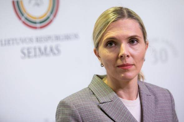 Глава МВД Литвы о миграционном кризисе