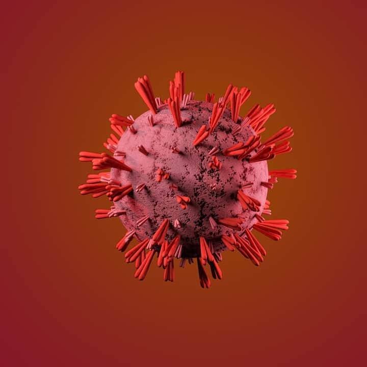 Южноафриканский вариант коронавируса обнаружили в Бельгии и мира