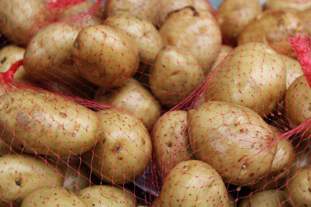 Агроэксперт Строгая прогнозирует подорожание картофеля из-за плохого урожая