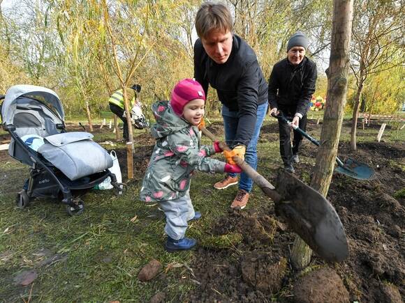 Петр Бирюков: Около 16 тыс. деревьев высадили в столичных парках в рамках проекта «Наше дерево» за три года