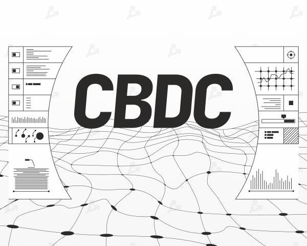 Центробанк Танзании начал подготовку к выпуску CBDC