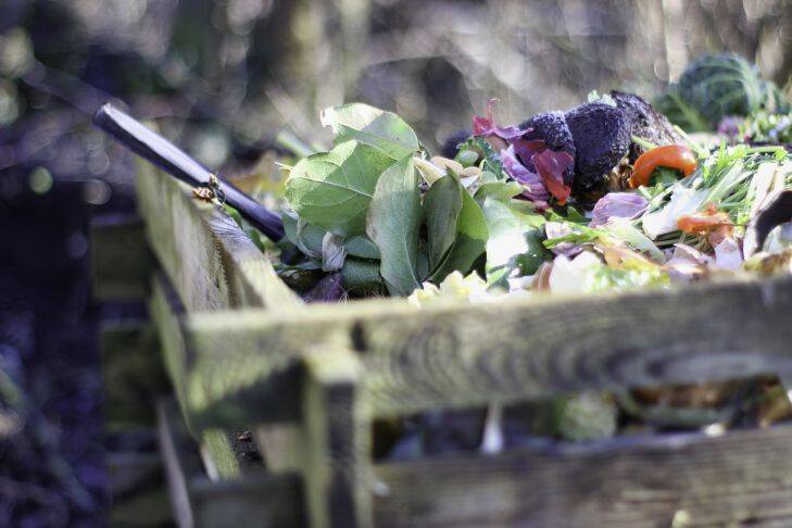 Как правильно хранить пищевые отходы зимой, чтобы применить компост весной