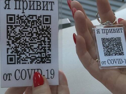 Не ожидал, что так много: Володина засыпали мнениями о QR-кодах