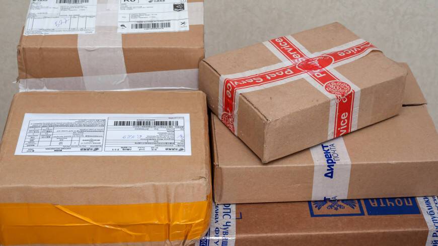 В США в лесу нашли сотни недоставленных посылок