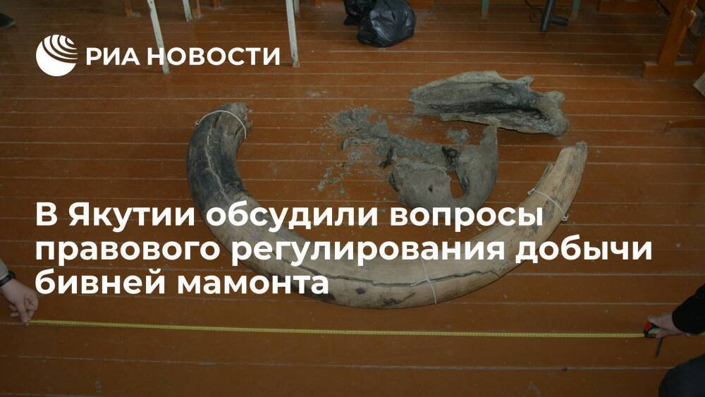 В Якутии обсудили вопросы правового регулирования добычи бивней мамонта