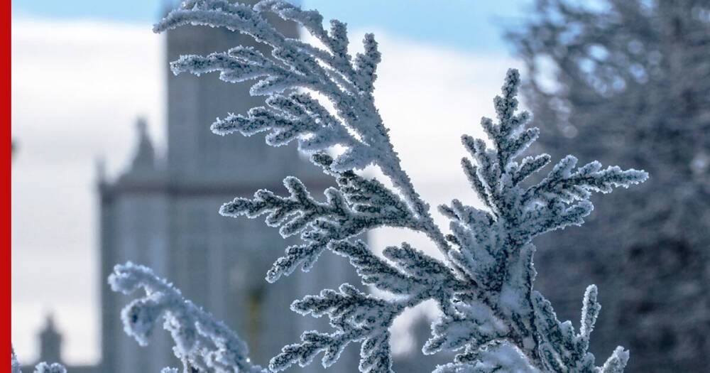 Москвичей предупредили о морозе 1 декабря