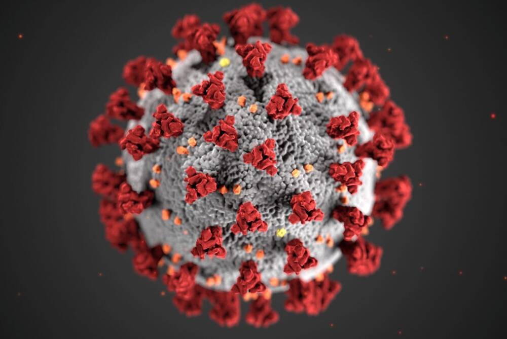 Роспотребнадзор отрицает распространение нового штамма коронавируса в России