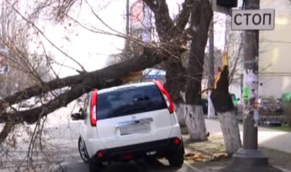 Прячьте авто и обходите стороной деревья: в ГСЧС предупредили об ухудшении погоды – какие области накроет