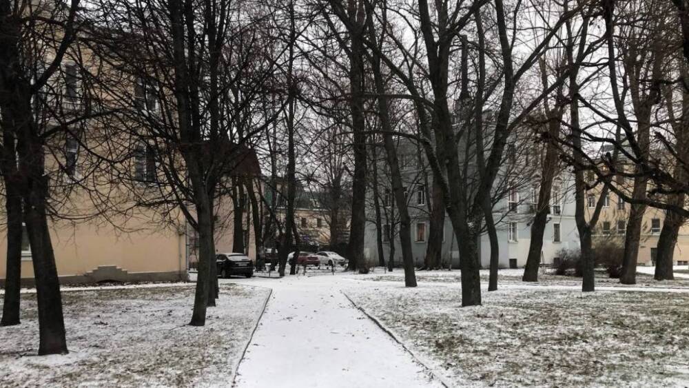 Модель Екатерина Шарова назвала халатным отношение властей Петербурга к уборке снега