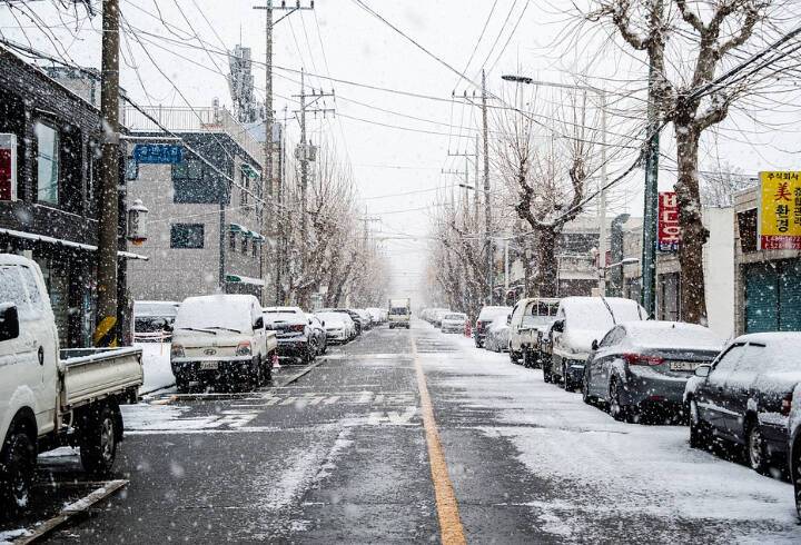 Последствия первого снегопада в Гатчине ликвидировали 11 единиц спецтехники
